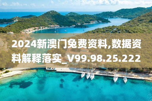 2024新澳门兔费资料,数据资料解释落实_V99.98.25.222