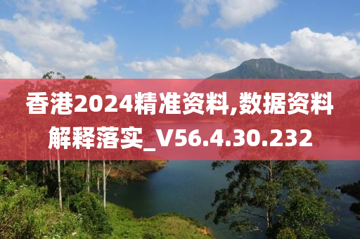 香港2024精准资料,数据资料解释落实_V56.4.30.232