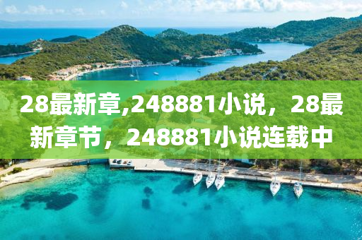 28最新章,248881小说，28最新章节，248881小说连载中