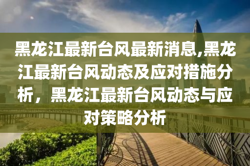 黑龙江最新台风最新消息,黑龙江最新台风动态及应对措施分析，黑龙江最新台风动态与应对策略分析