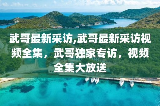 武哥最新采访,武哥最新采访视频全集，武哥独家专访，视频全集大放送