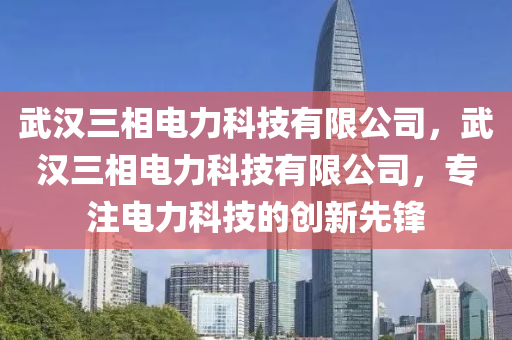 武汉三相电力科技有限公司，武汉三相电力科技有限公司，专注电力科技的创新先锋