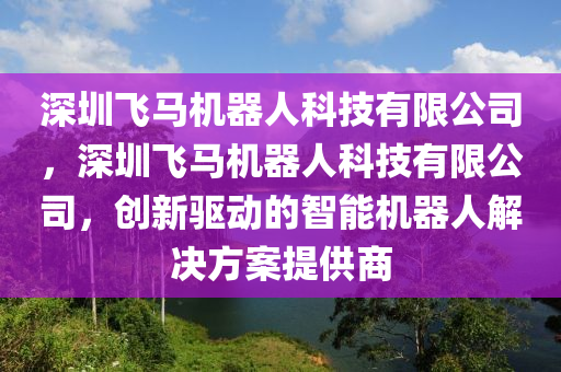 深圳飞马机器人科技有限公司，深圳飞马机器人科技有限公司，创新驱动的智能机器人解决方案提供商